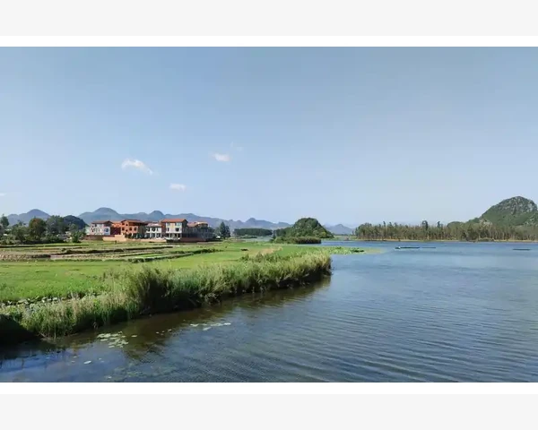 通过选择适当的中药调养，改善脾胃虚寒